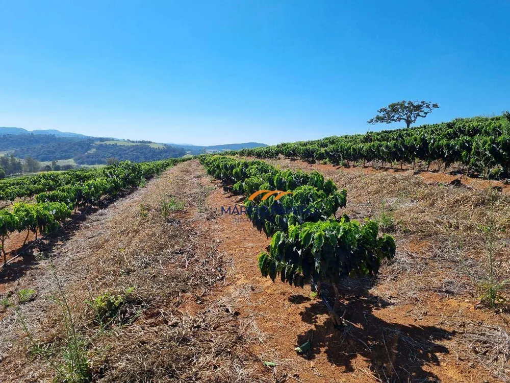 Fazenda, 273 hectares - Foto 12