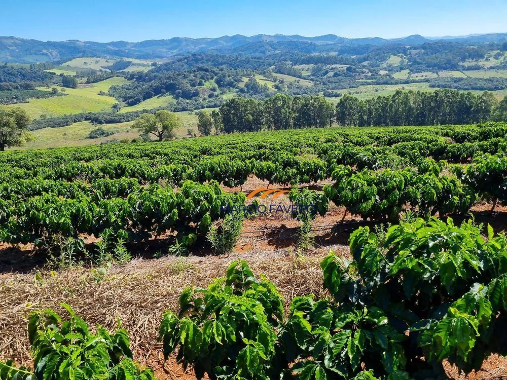 Fazenda, 273 hectares - Foto 1