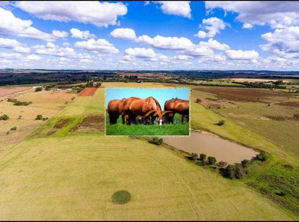 Fazenda, 152 hectares - Foto 3