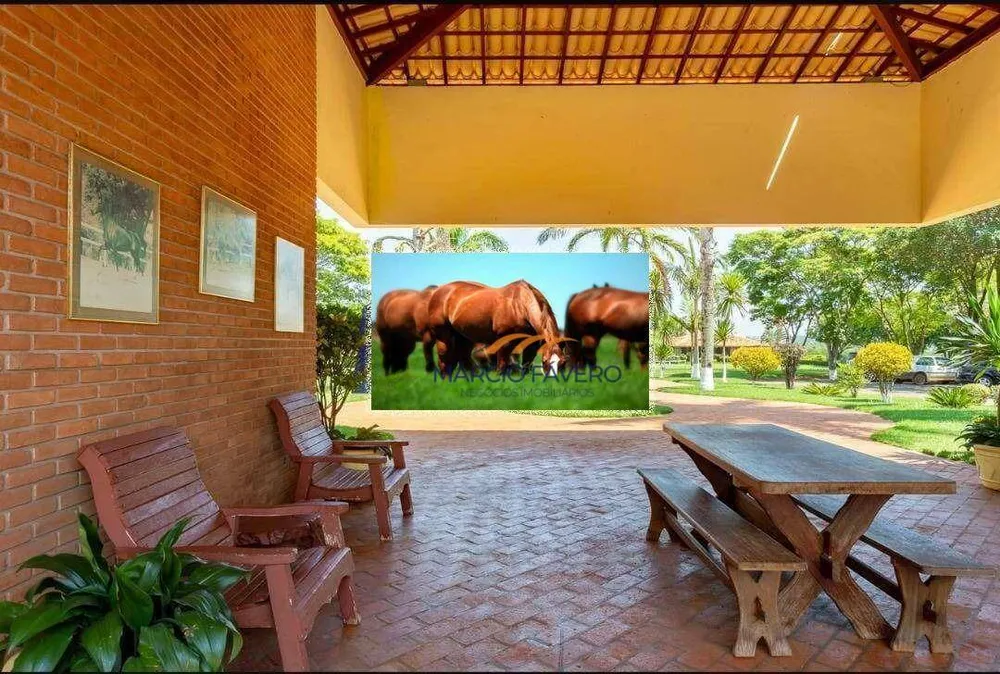 Fazenda, 152 hectares - Foto 10