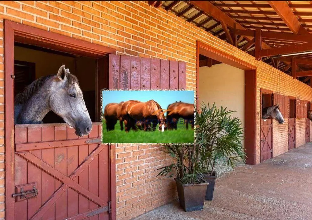 Fazenda, 152 hectares - Foto 6