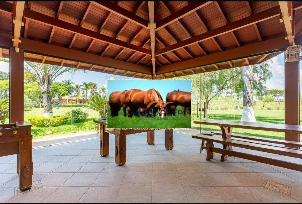 Fazenda, 152 hectares - Foto 11