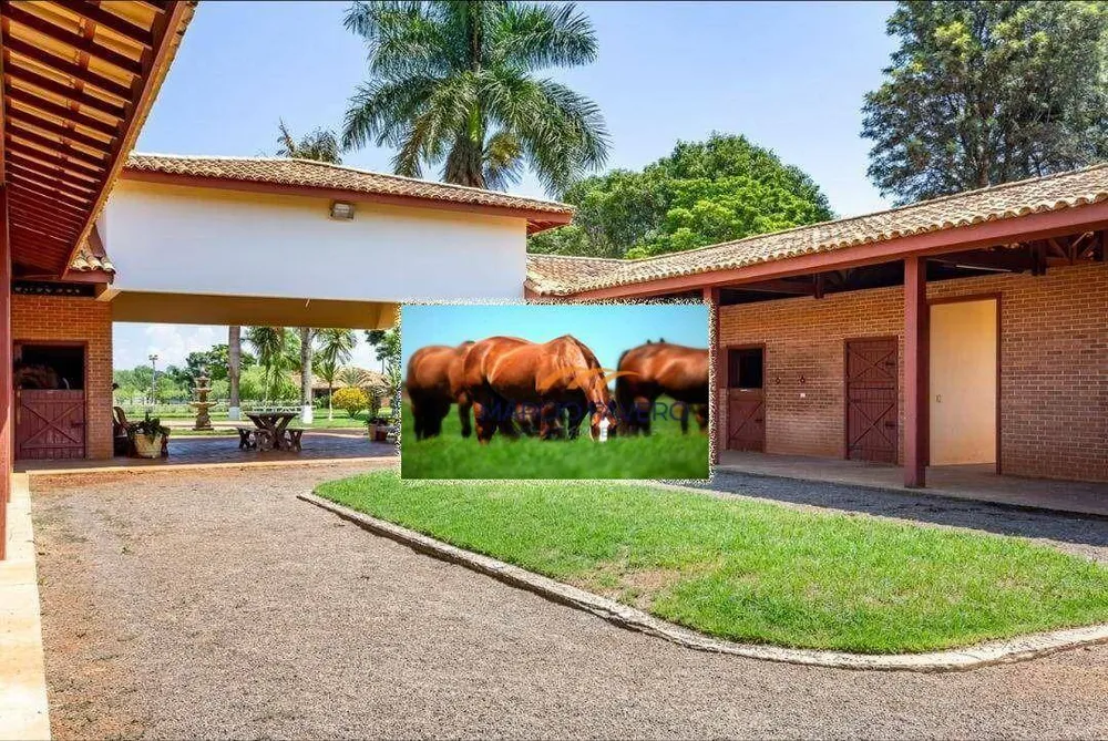 Fazenda, 152 hectares - Foto 8