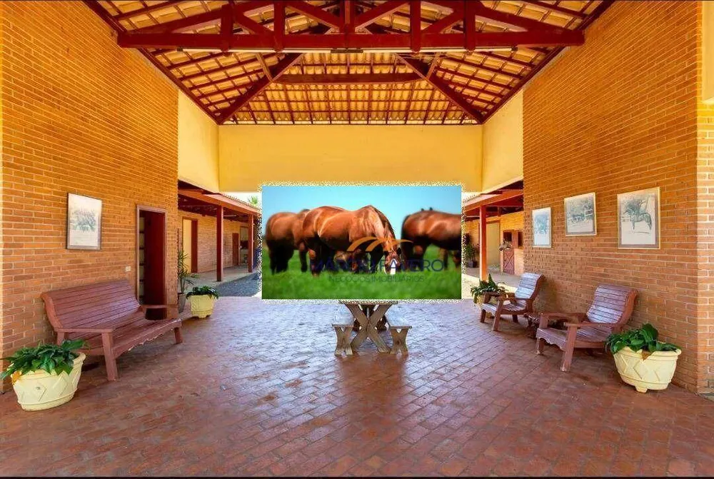 Fazenda, 152 hectares - Foto 9