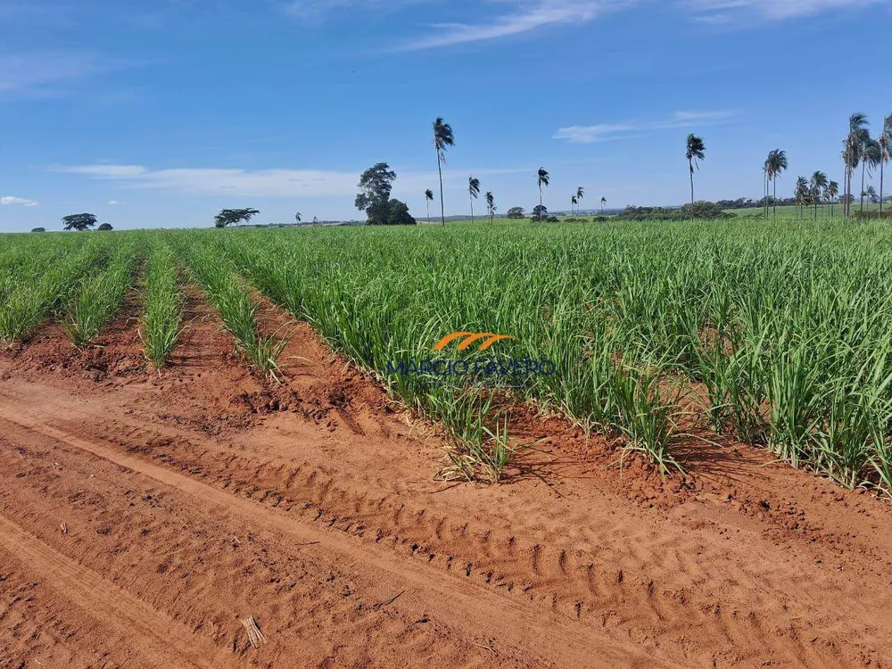 Fazenda, 484 hectares - Foto 1