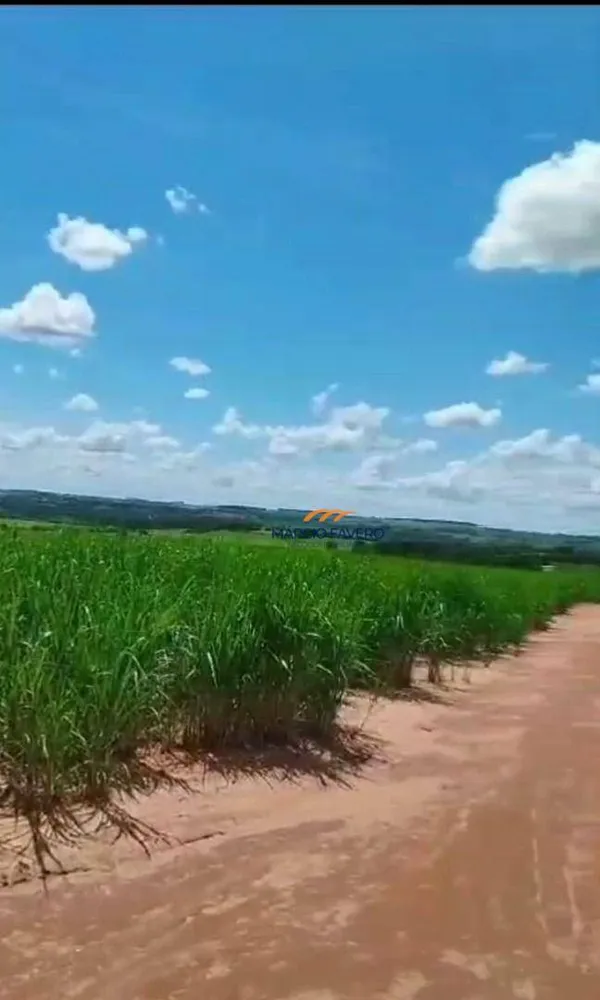 Fazenda, 484 hectares - Foto 3
