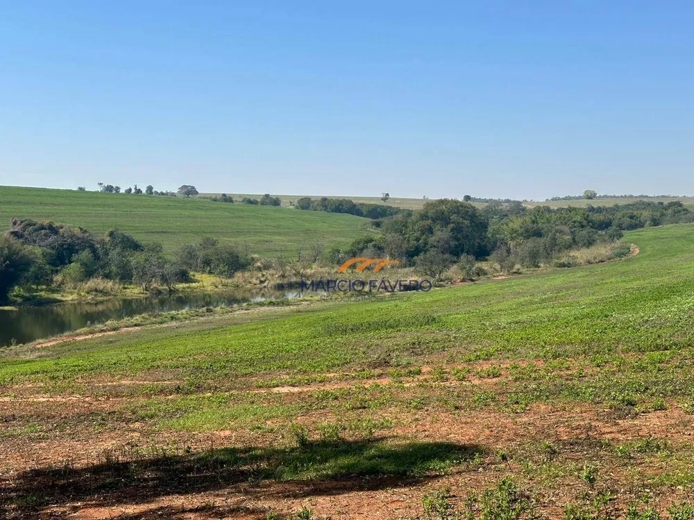 Fazenda, 242 hectares - Foto 6