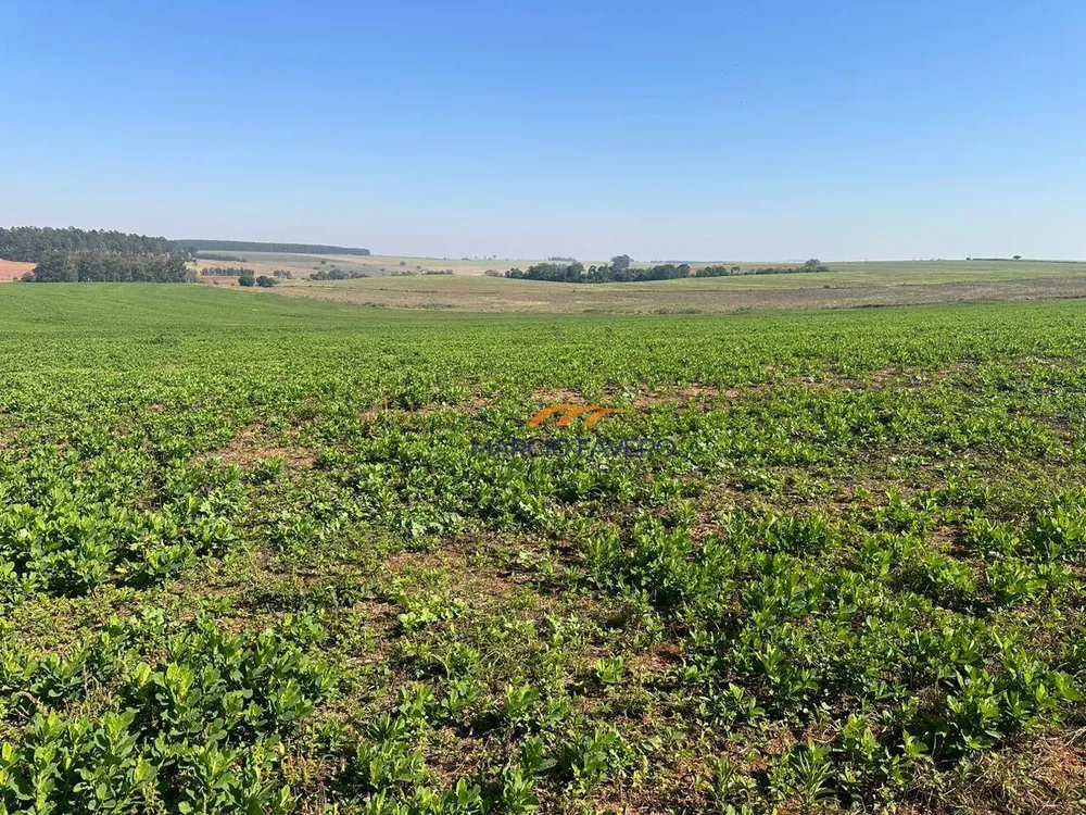 Fazenda, 242 hectares - Foto 9