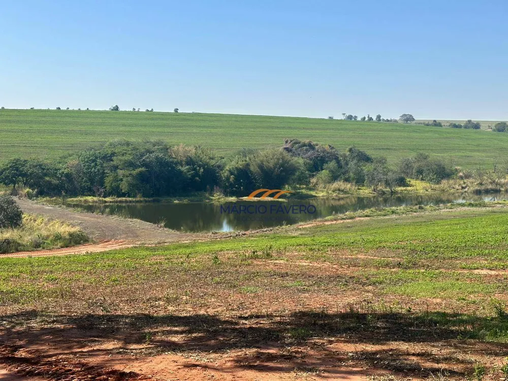 Fazenda, 242 hectares - Foto 10