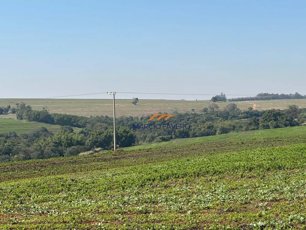 Fazenda, 242 hectares - Foto 11