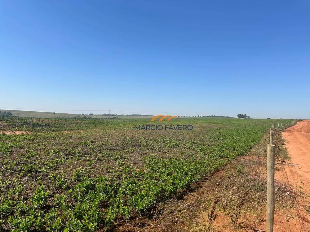 Fazenda, 242 hectares - Foto 4