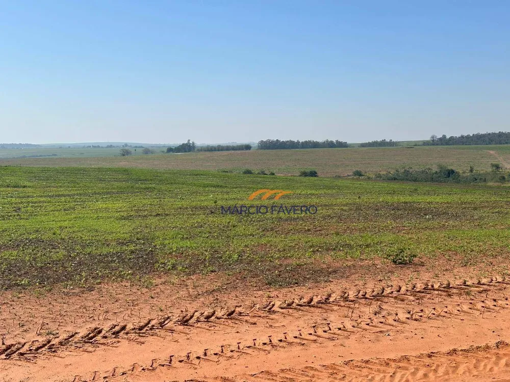 Fazenda, 242 hectares - Foto 1