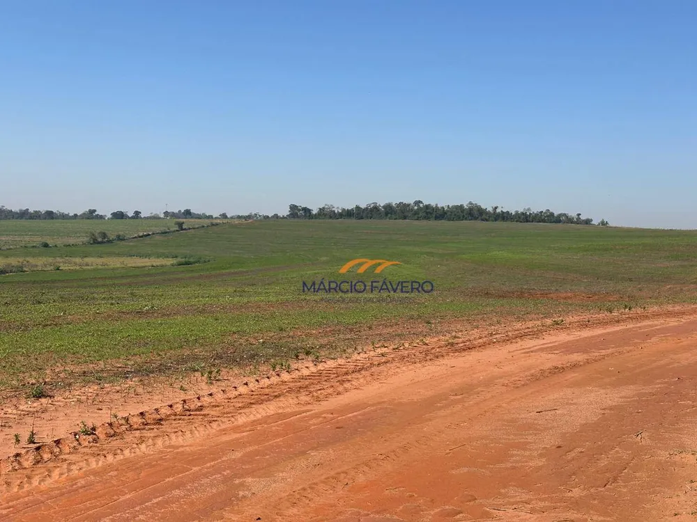 Fazenda, 242 hectares - Foto 2