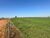 Fazenda, 242 hectares - Foto 2