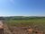 Fazenda, 242 hectares - Foto 4