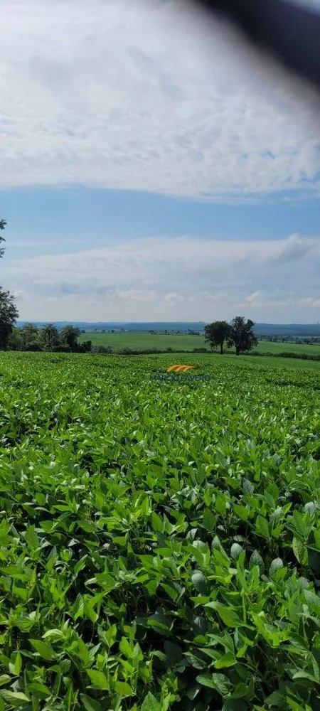 Fazenda, 136 hectares - Foto 15