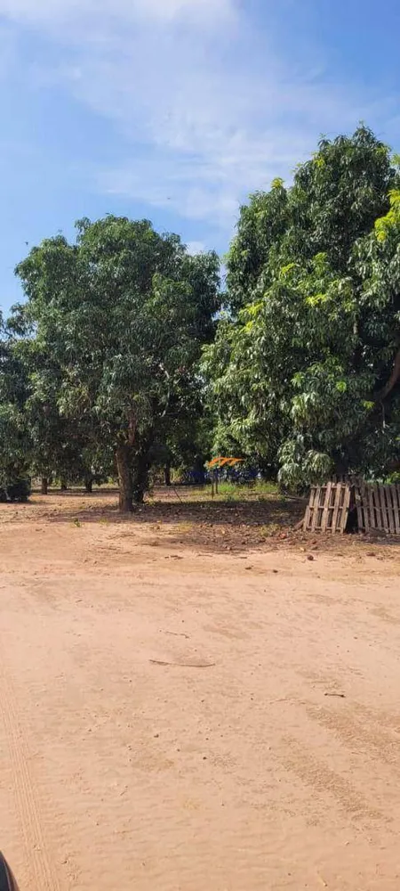Fazenda, 136 hectares - Foto 2