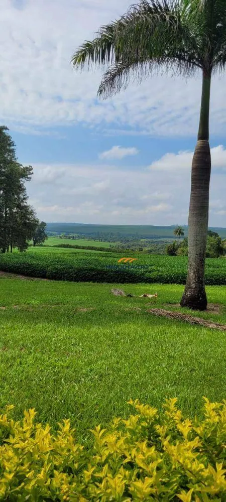Fazenda, 136 hectares - Foto 9