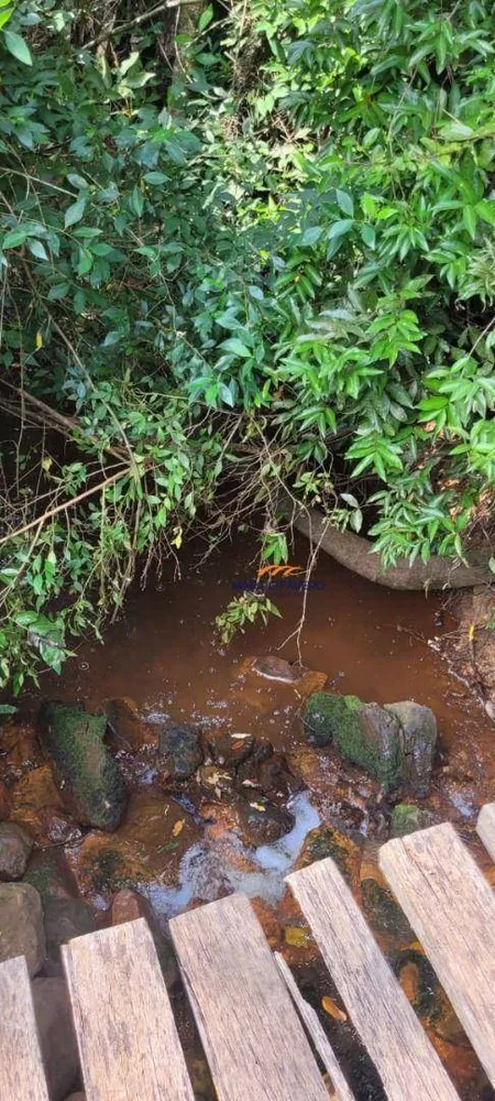 Fazenda, 136 hectares - Foto 8