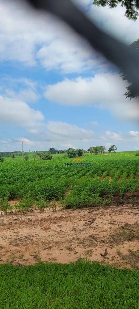 Fazenda, 136 hectares - Foto 6