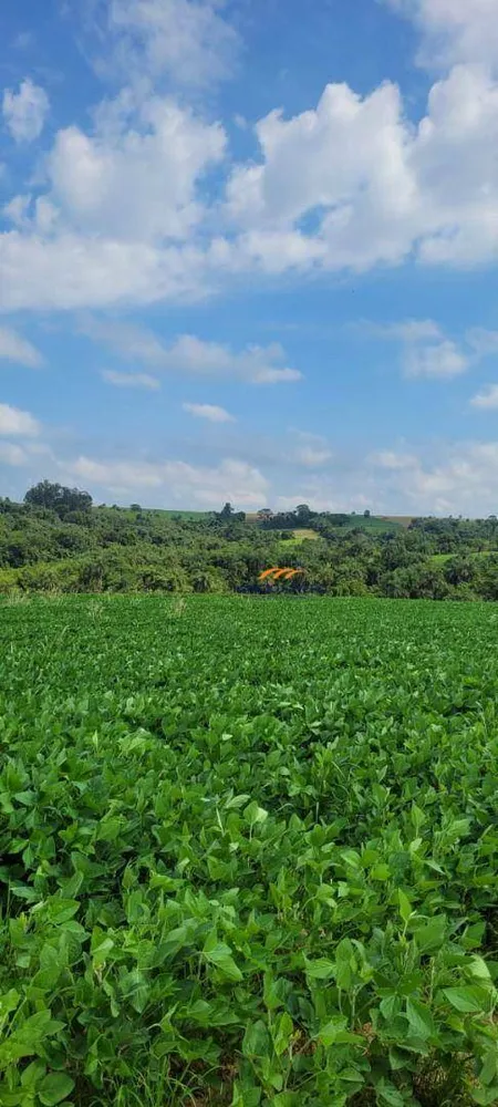 Fazenda, 136 hectares - Foto 3