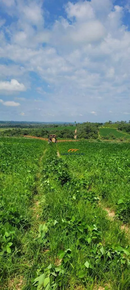 Fazenda, 136 hectares - Foto 4