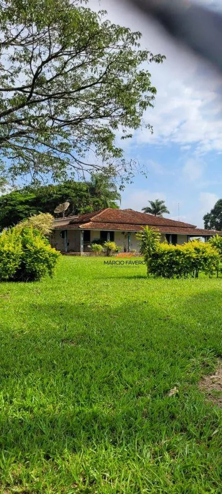 Fazenda, 136 hectares - Foto 12