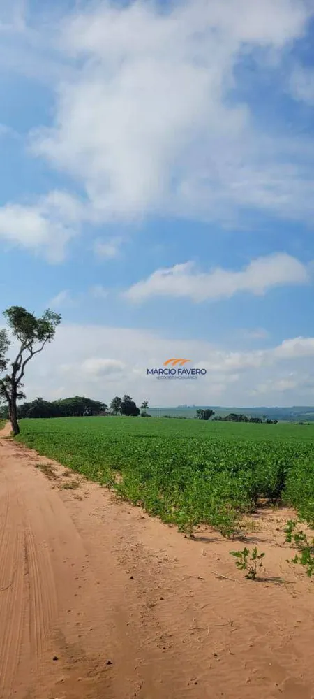 Fazenda, 136 hectares - Foto 4