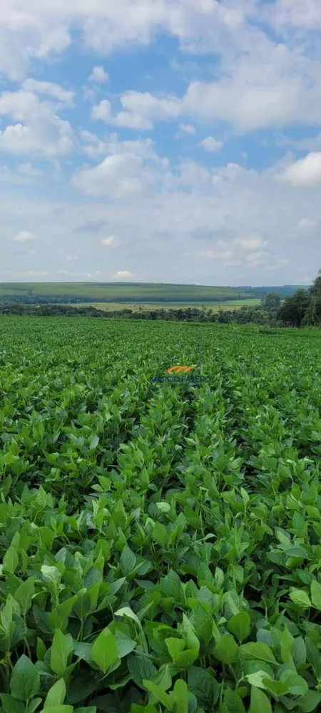 Fazenda, 136 hectares - Foto 1