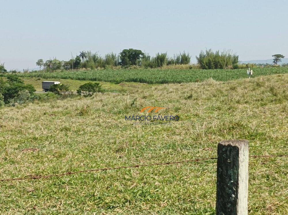 Sítio, 18 hectares - Foto 2