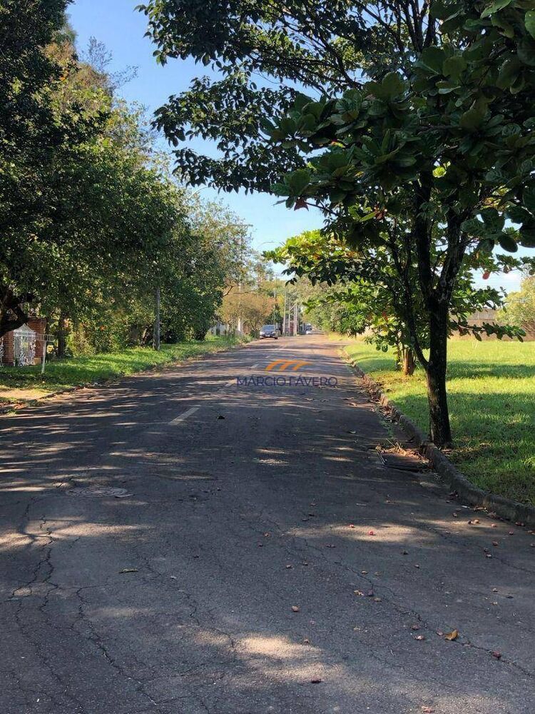 Terreno, 4 hectares - Foto 1