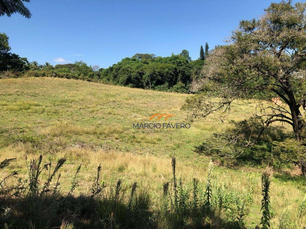 Terreno, 4 hectares - Foto 8