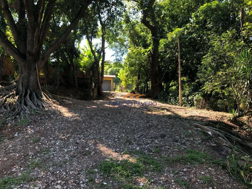 Terreno, 4 hectares - Foto 7