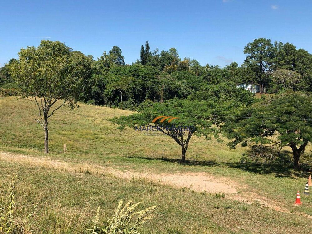 Terreno, 4 hectares - Foto 10