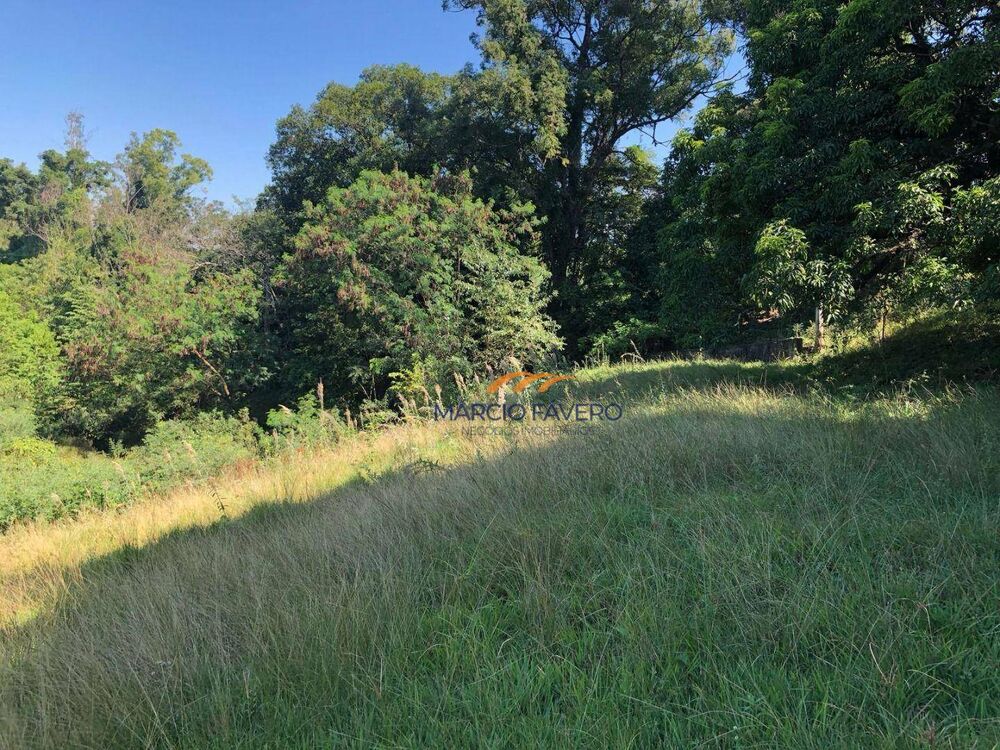 Terreno, 4 hectares - Foto 12