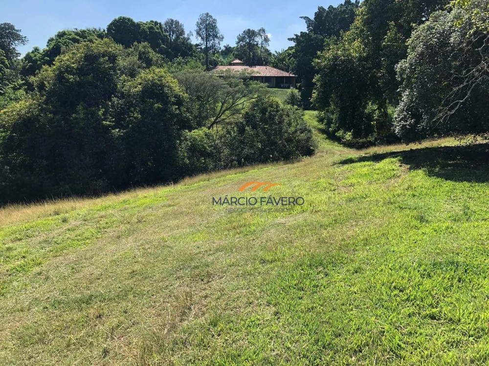 Terreno, 4 hectares - Foto 6