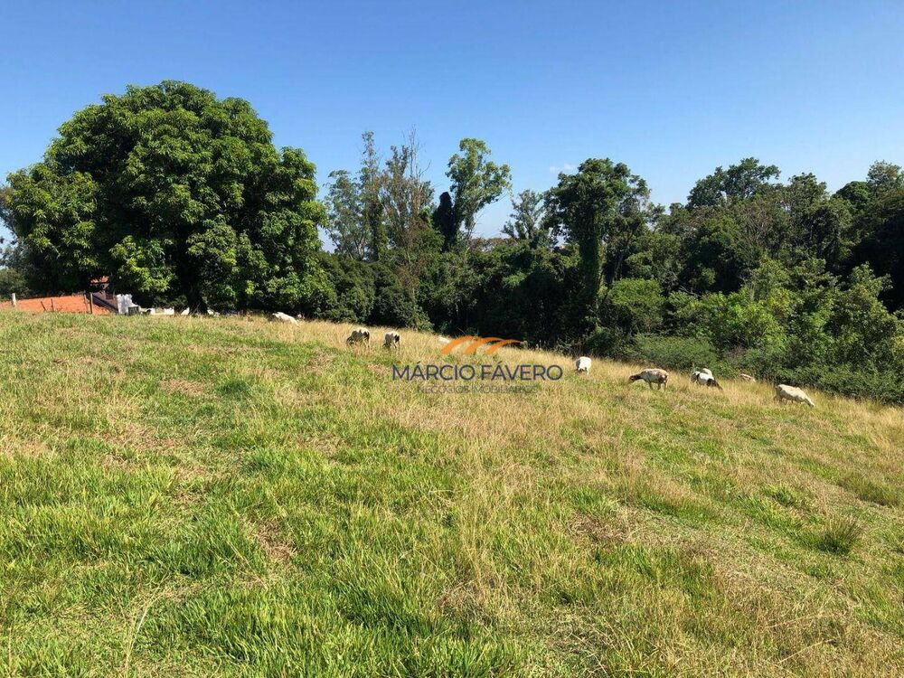 Terreno, 4 hectares - Foto 2