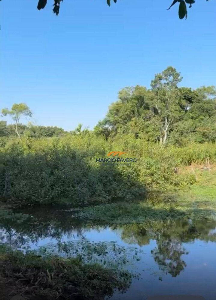 Fazenda, 131 hectares - Foto 2