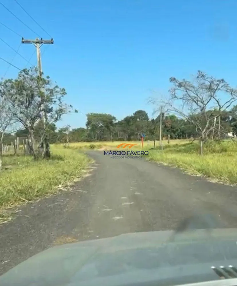 Fazenda, 131 hectares - Foto 2