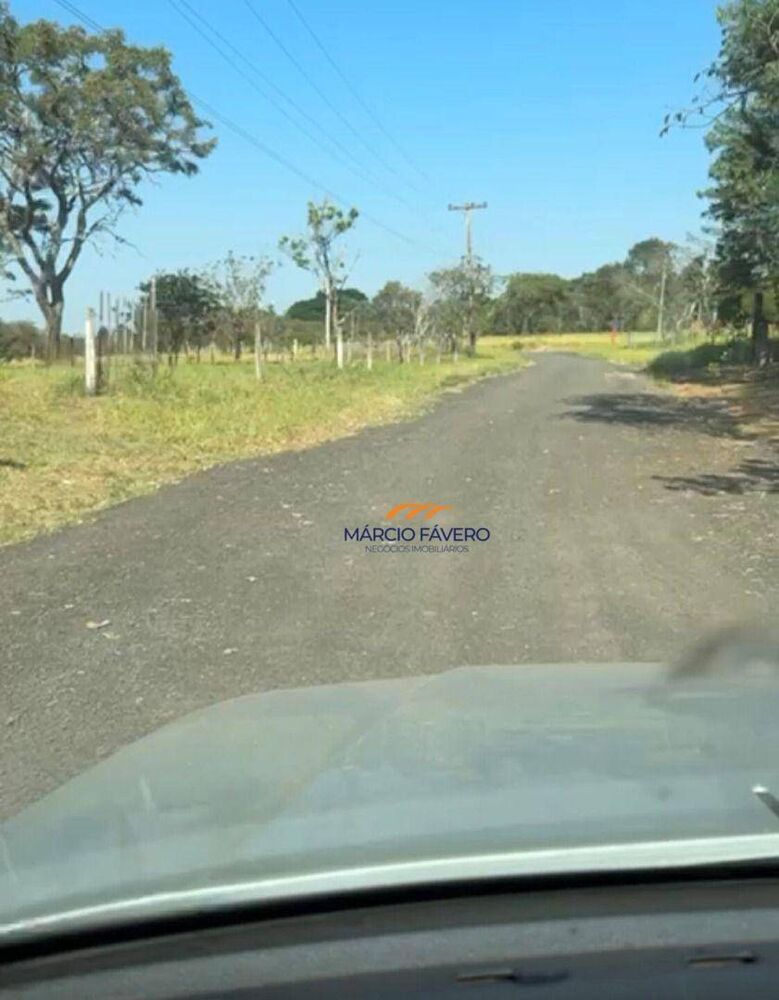 Fazenda, 131 hectares - Foto 4
