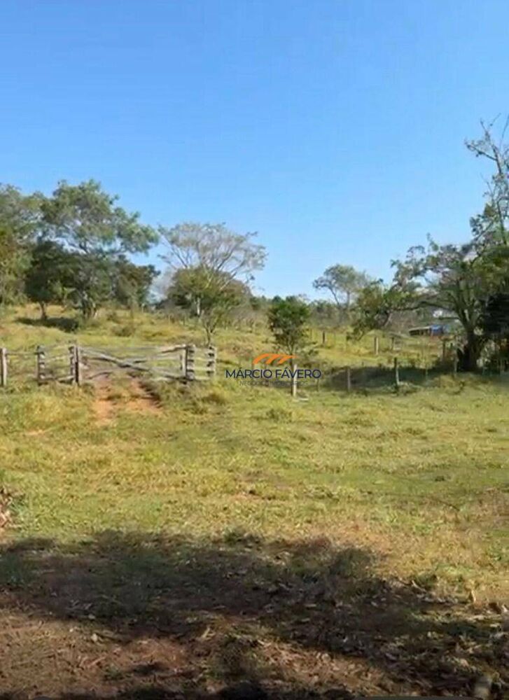 Fazenda, 131 hectares - Foto 3