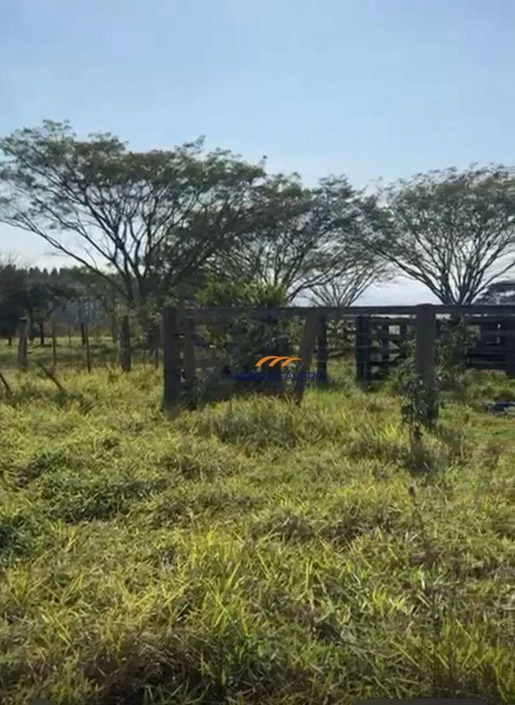 Fazenda, 131 hectares - Foto 7