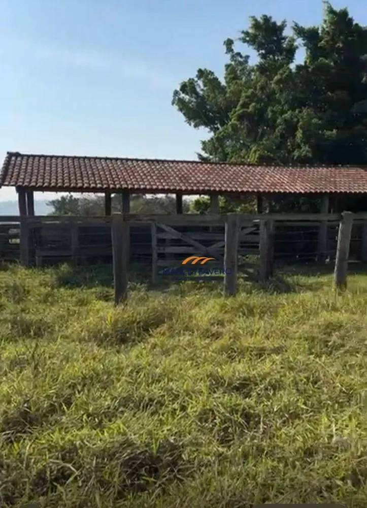 Fazenda, 131 hectares - Foto 3