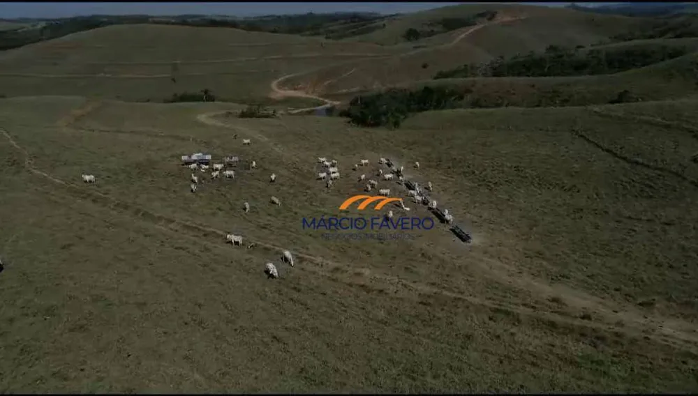 Fazenda, 257 hectares - Foto 13