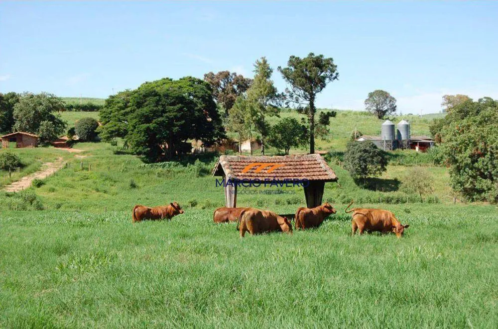Fazenda, 363 hectares - Foto 8