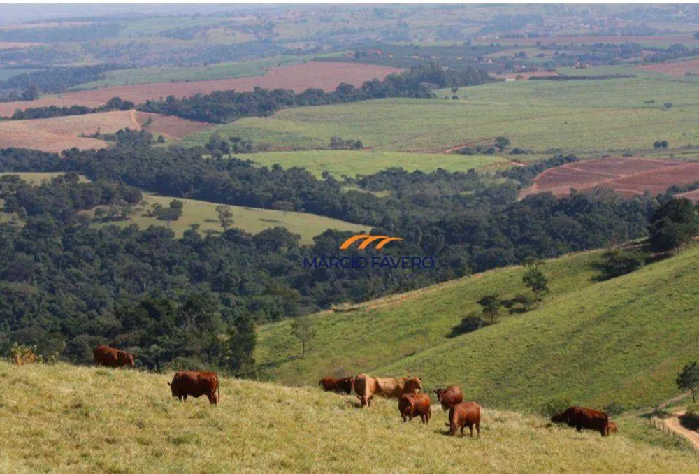 Fazenda, 363 hectares - Foto 10
