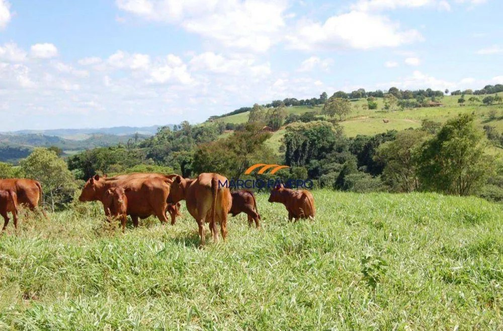 Fazenda, 363 hectares - Foto 14