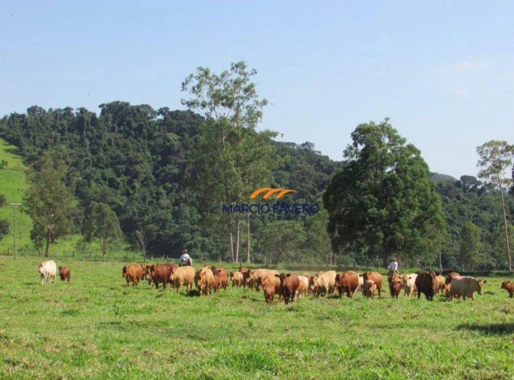 Fazenda, 363 hectares - Foto 3