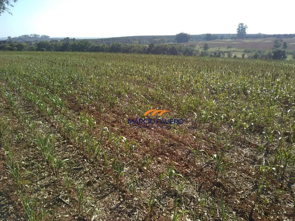 Fazenda, 51 hectares - Foto 4