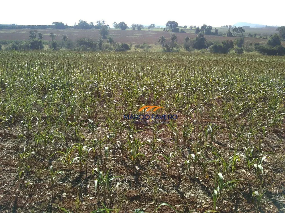 Fazenda, 51 hectares - Foto 3